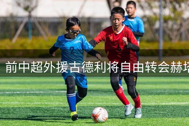前中超外援古德利将自由转会赫塔费 曾两夺欧联杯